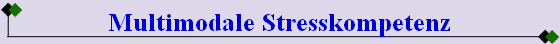 Multimodale Stresskompetenz