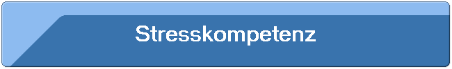 Stresskompetenz